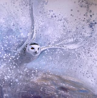 Snowy Owl, Taking Off by Ewoud de Groot