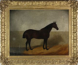 T.C. Carpendale Oil on Canvas "Portrait of the Champion Horse Tamworth"
