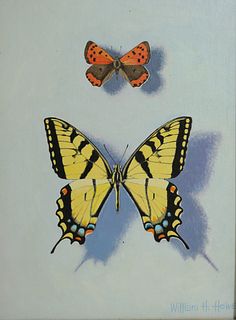 William Hugh Howe Oil on Canvas "Butterfly Still Life"