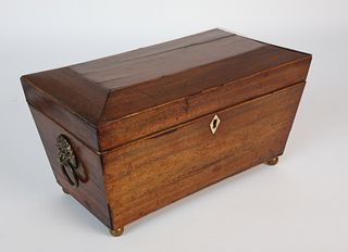 Mahogany Double Compartment Tea Caddy with Paneled Top, 19th Century