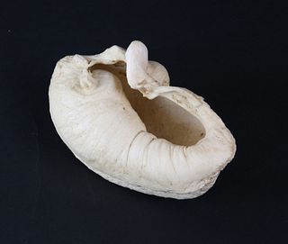 Antique Sperm Whalebone Ear