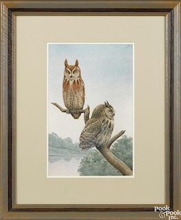 Earl Lincoln Poole (American 1891-1972), watercolor of horned owls, monogrammed lower right