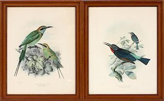 J.G. KEULEMANS HAND COLORED LITHOGRAPH