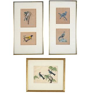 North Indian School, (4) bird drawings