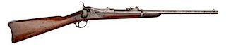 Springfield Model 1873 Carbine  