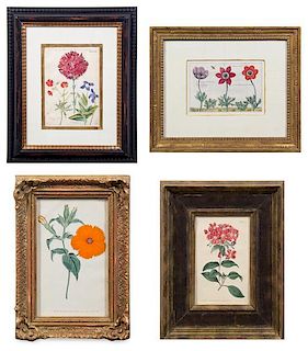 A Group of Four Hand-Colored Botanical Engravings Largest: 21 1/2 x 17 1/2 inches overall.