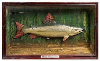 An English Polychrome Fish Trophy Height 24 1/2 x width 42 x depth 6 inches.
