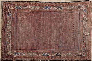 Oriental Carpet, 5' 5 x 5' 5.