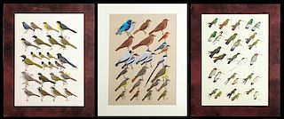 Murrell Butler (Louisiana), "Hummingbirds, Starthr