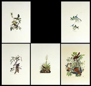 John James Audubon (1785-1851), Ten Prints consist
