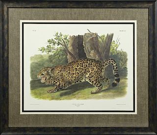 John James Audubon (1785-1851), "The Jaguar-Female