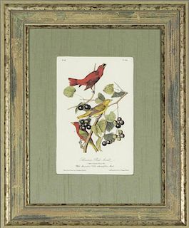 John James Audubon (1785-1851), "Summer Red-bird,"