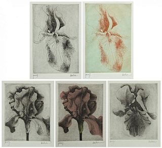 Leonard Baskin (1922-2000) 5 Works "Irises", Etchings, Artist Proofs.