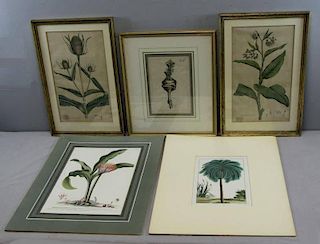 5 18th/19th C. Hand Colored Botanical Prints.