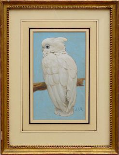 ATTRIBUTED TO HENRY STACY MARKS (1829-1898): A WHITE COCKATOO