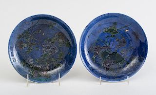 PAIR OF CHINESE ENAMELED PORCELAIN PLATES