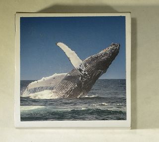 1 OZ SILVER HUMPBACK WHALE ULTRA HIGH RELIEF