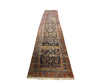 PERSIAN RED AND BLUE RUNNER