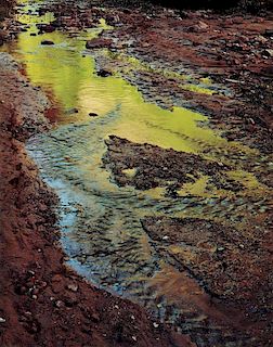 Eliot Porter (American, 1901-1990)      Green Reflections in Stream, Moqui Creek, Glen Canyon, Utah, September 2, 1962