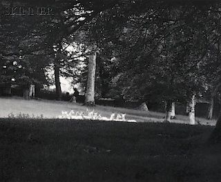 Paul Caponigro (American, b. 1932)      Standing White Deer, Ireland