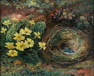 British School, 19th/20th Century      Bird's Nest and Flowers
