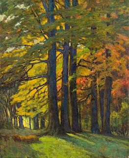 Harriet Randall Lumis, (American, 1870-1953), Study of Trees
