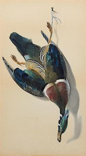 * Achille Perelli, (American, 1822–1891), Nature Morte: Blue WingTeal, 1877