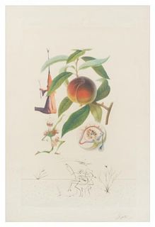 Salvador Dali, (Spanish, 1904-1989), Pecheur penitant (from FlorDali/Les Fruits), 1969