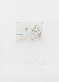 Salvador Dali, (Spanish, 1904-1989), Petites Nus, 1972 (a group of 7 color etchings from the portfolio of 8)