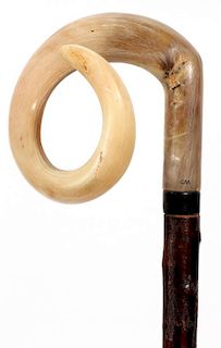 STAG HORN HANDLE WALKING STICK