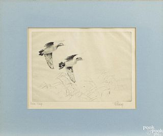 Richard Bishop (American 1887-1975), signed etching, titled Green Wings, 7 1/2'' x 10''.
