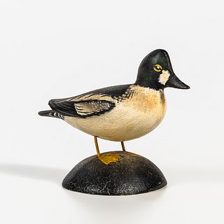 Carved and Painted Male Golden Eye Duck