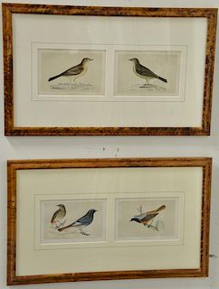 Set of ten hand colored double framed bird lithographs by Francis Orpen Morris from the History of British Birds including Black Sta...