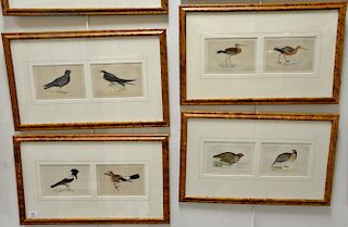 Set of ten hand colored double framed bird lithographs by Francis Orpen Morris from the History of British Birds including Alpine Ac...