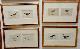 Set of ten hand colored double framed bird lithographs by Francis Orpen Morris from the History of British Birds including Laughing ...