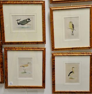 Set of ten hand colored framed bird lithographs by Francis Orpen Morris from the History of British Birds including Little Bittern 2...