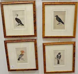 Set of ten hand colored framed bird lithographs by Francis Orpen Morris from the History of British Birds including Goldcrest 161, H...