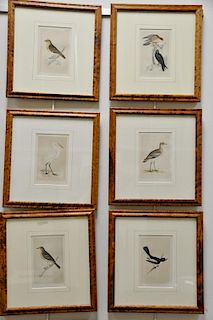 Set of ten hand colored framed bird lithograph by Francis Orpen Morris, from the History of British Birds including Wood Lark 91, Pi...
