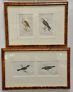 Set of ten hand colored framed bird lithograph by Francis Orpen Morris, from the History of British Birds including Orphean Warbler ...