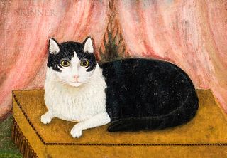Folk Art Portrait of a Cat