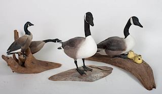 Three carved and painted wood Canada goose groups