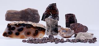 Rocks, Minerals, & Petrified Wood