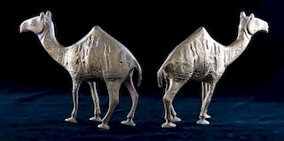 Persian Etched Brass Dromedary Camels, Four (4)