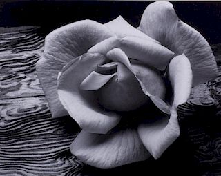Ansel Adams "Rose & Driftwood" Lithograph