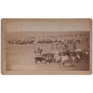 J.C.H. Grabill Boudoir Photograph of a Cattle Roundup 