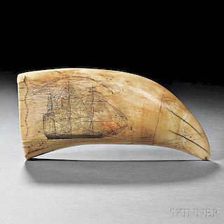 Scrimshaw Whale's Tooth Showing the Frances