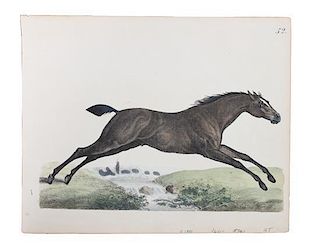 Six Hand Colored Race Horse Prints Height 7 x width 10 inches (largest)