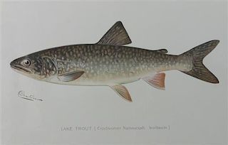 Six Chromolithograph Trout Prints, S. F. Benton Height 7 x with 11 inches