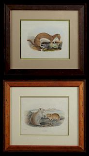 Two Chromolithographs, early 20th c., one by J. Sm