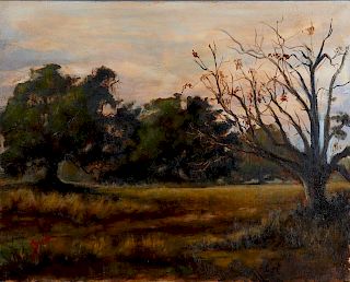 Jerome Weber (New Iberia, Louisiana), "Oak Trees i